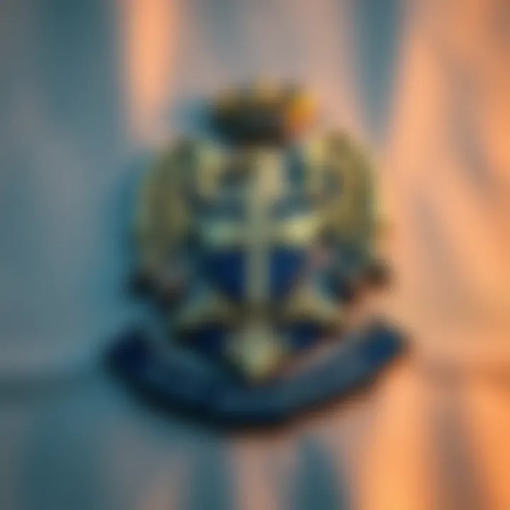 Blue Guardian emblem symbolizing protection and vigilance over Nigerian natural resources